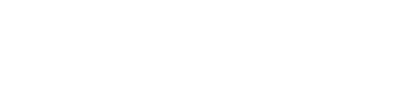 Verlo